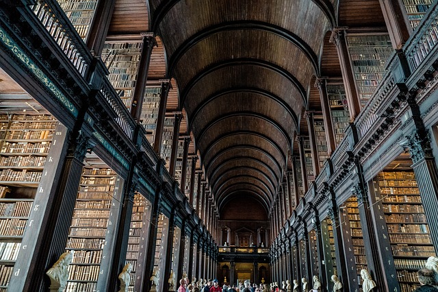 knihovna v Dublinu
